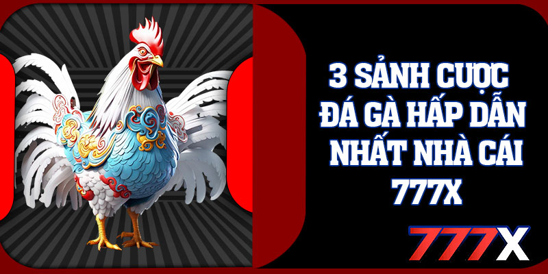 3 Sảnh Cược Đá Gà Hấp Dẫn Nhất Nhà Cái 777x