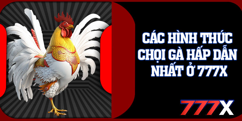 Các Hình Thức Chọi Gà Hấp Dẫn Nhất Ở 777x