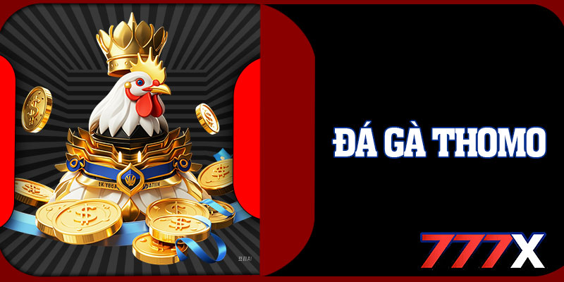 Đá Gà Thomo