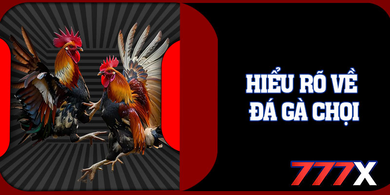 Hiểu Rõ Về Đá Gà Chọi