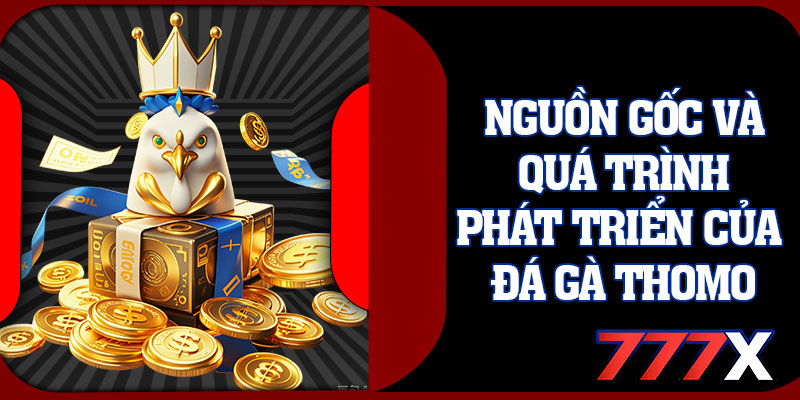 Nguồn Gốc Và Quá Trình Phát Triển Của Đá Gà Thomo