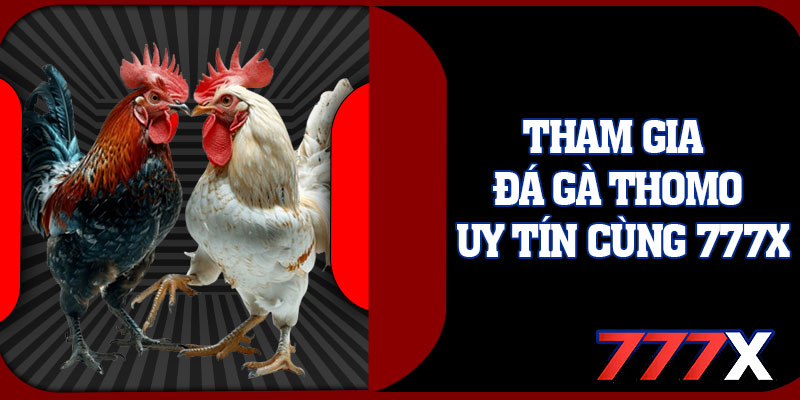 Tham Gia Đá Gà Thomo Uy Tín Cùng 777x