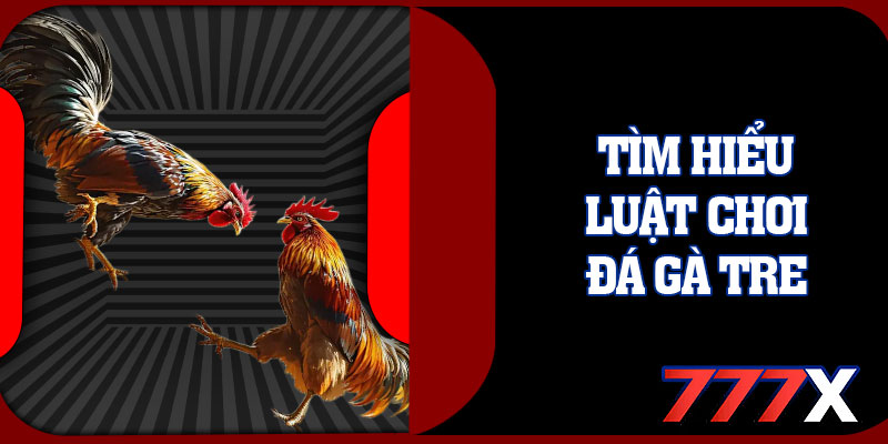 Tìm Hiểu Luật Chơi Đá Gà Tre