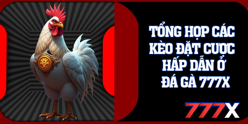 Tổng Hợp Các Kèo Đặt Cược Hấp Dẫn Ở Đá Gà 777x