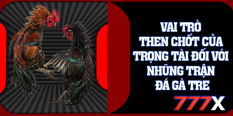 Vai Trò Then Chốt Của Trọng Tài Đối Với Những Trận Đá Gà Tre